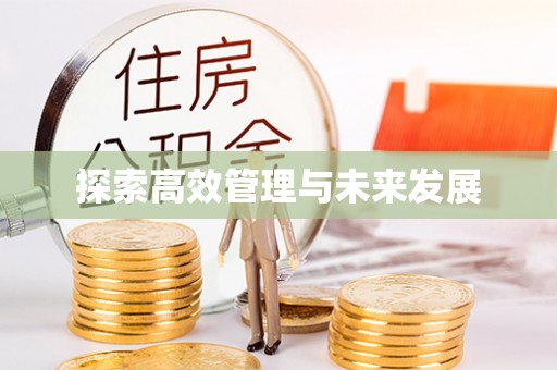 盐湖探索高效管理与未来发展