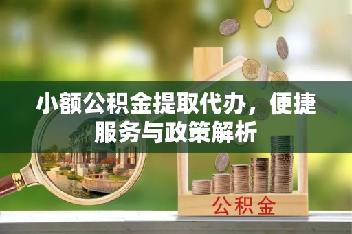 盐湖小额公积金提取代办，便捷服务与政策解析