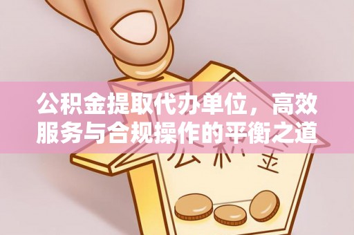 盐湖公积金提取代办单位，高效服务与合规操作的平衡之道