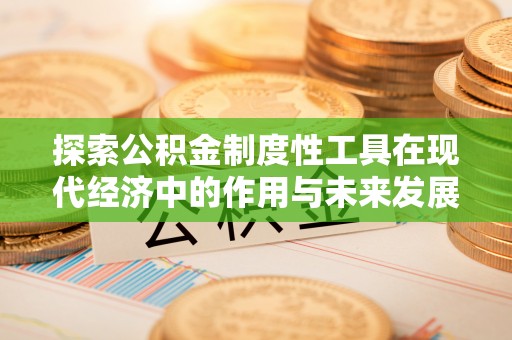 盐湖探索公积金制度性工具在现代经济中的作用与未来发展