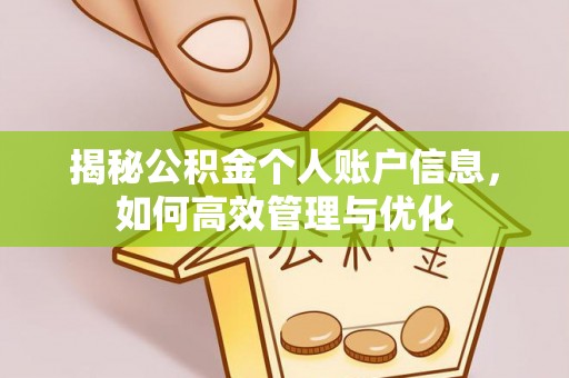 盐湖揭秘公积金个人账户信息，如何高效管理与优化
