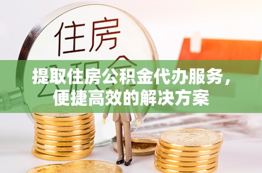 盐湖提取住房公积金代办服务，便捷高效的解决方案
