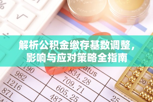 盐湖解析公积金缴存基数调整，影响与应对策略全指南