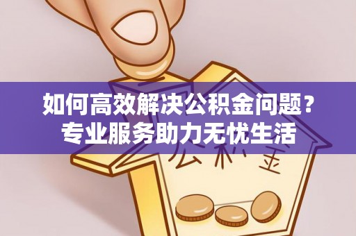 盐湖如何高效解决公积金问题？专业服务助力无忧生活