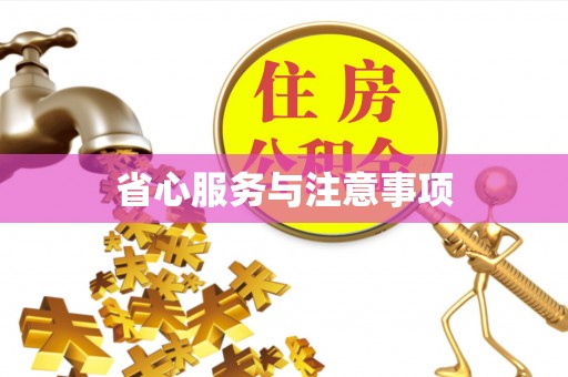 盐湖省心服务与注意事项