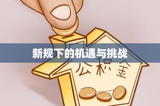 盐湖新规下的机遇与挑战
