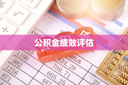 盐湖公积金绩效评估