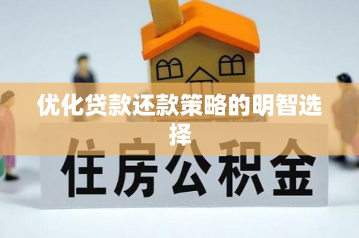 盐湖优化贷款还款策略的明智选择