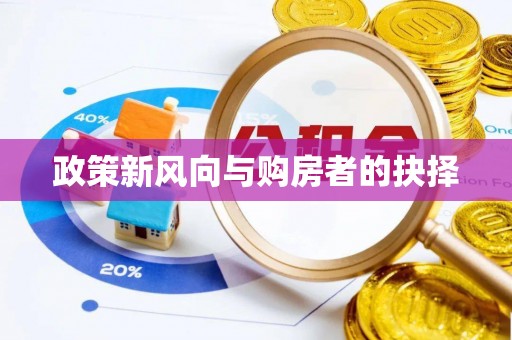 盐湖政策新风向与购房者的抉择