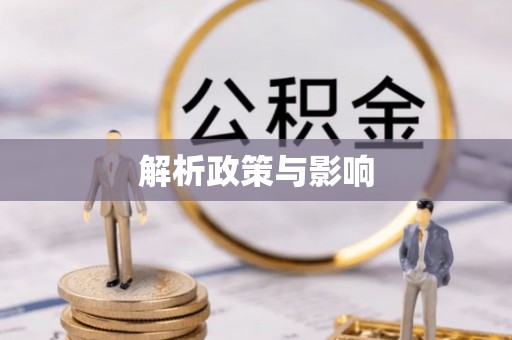 盐湖解析政策与影响