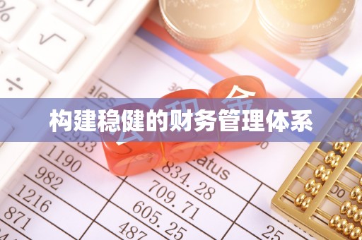 盐湖构建稳健的财务管理体系