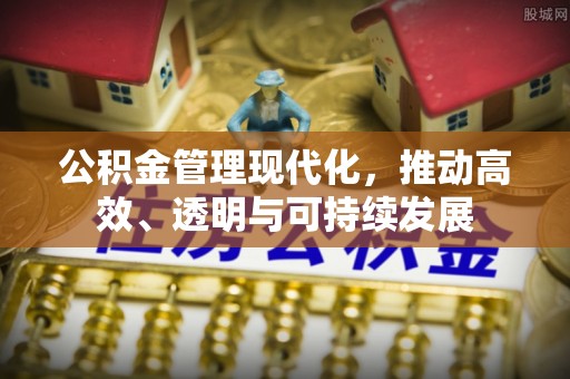 盐湖公积金管理现代化，推动高效、透明与可持续发展