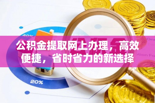 盐湖公积金提取网上办理，高效便捷，省时省力的新选择