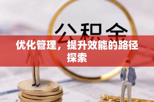 盐湖优化管理，提升效能的路径探索