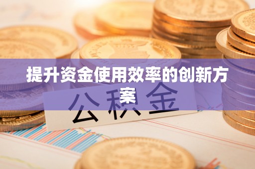 盐湖提升资金使用效率的创新方案