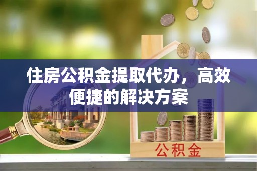 盐湖住房公积金提取代办，高效便捷的解决方案
