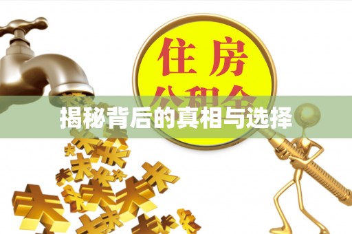 盐湖揭秘背后的真相与选择