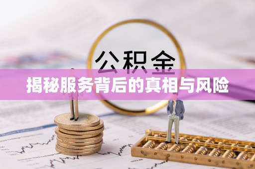盐湖揭秘服务背后的真相与风险
