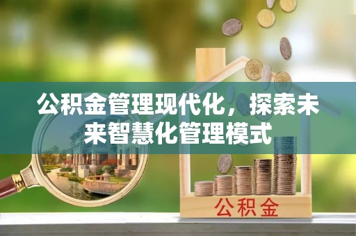 盐湖公积金管理现代化，探索未来智慧化管理模式