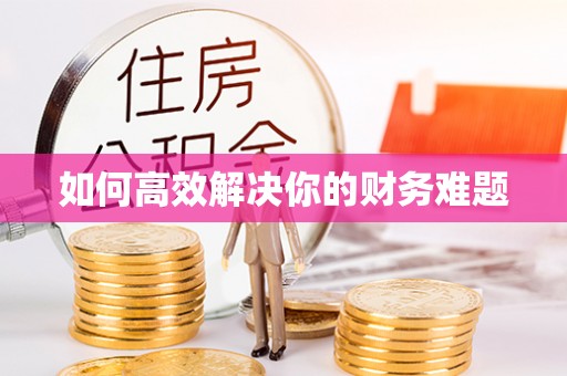 盐湖如何高效解决你的财务难题