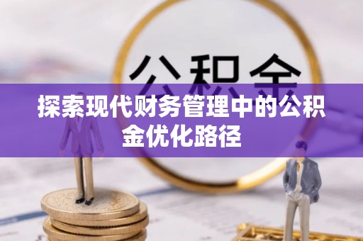 盐湖探索现代财务管理中的公积金优化路径