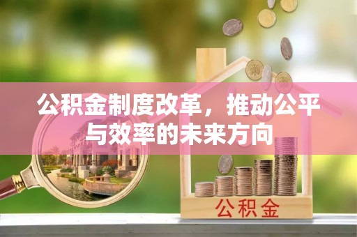 盐湖公积金制度改革，推动公平与效率的未来方向