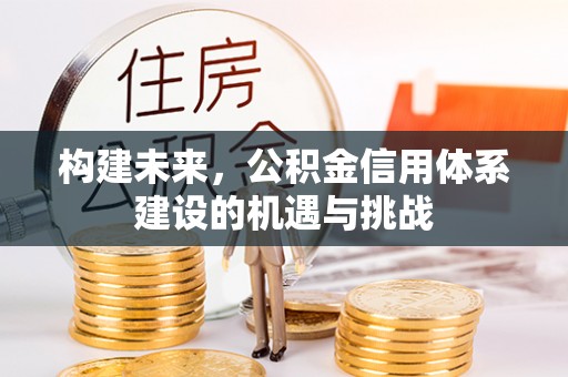 盐湖构建未来，公积金信用体系建设的机遇与挑战