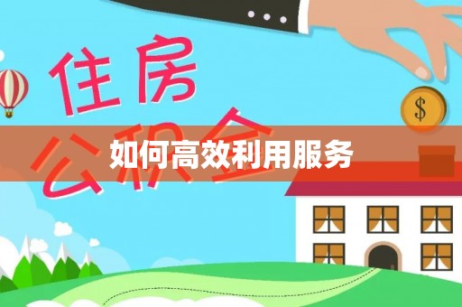 盐湖如何高效利用服务