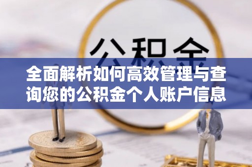 盐湖全面解析如何高效管理与查询您的公积金个人账户信息