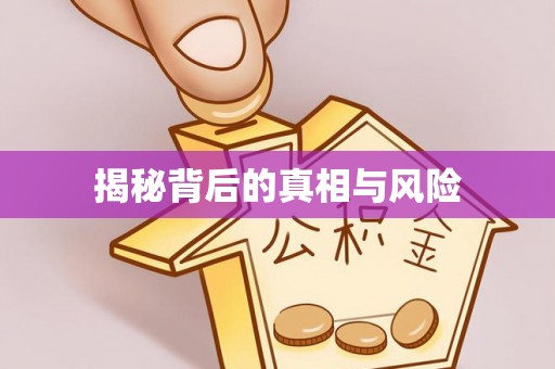 盐湖揭秘背后的真相与风险