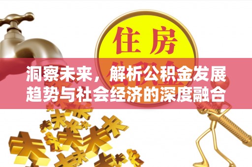 盐湖洞察未来，解析公积金发展趋势与社会经济的深度融合