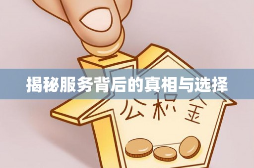 盐湖揭秘服务背后的真相与选择