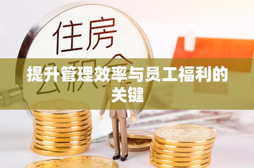盐湖提升管理效率与员工福利的关键