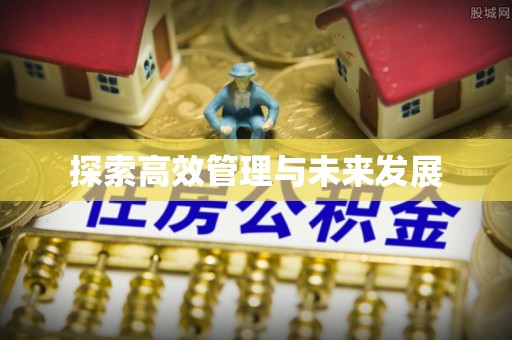 盐湖探索高效管理与未来发展
