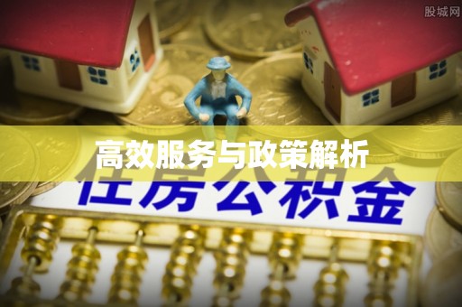 盐湖高效服务与政策解析