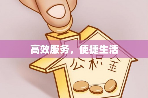 盐湖高效服务，便捷生活