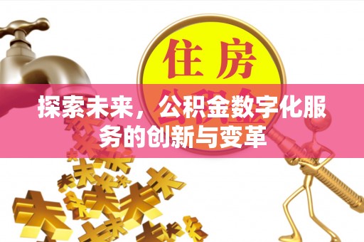 盐湖探索未来，公积金数字化服务的创新与变革