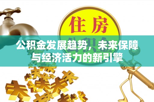 盐湖公积金发展趋势，未来保障与经济活力的新引擎