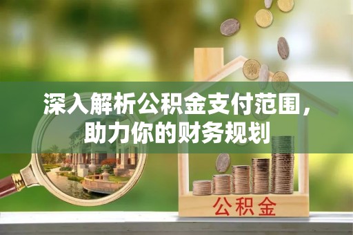 盐湖深入解析公积金支付范围，助力你的财务规划