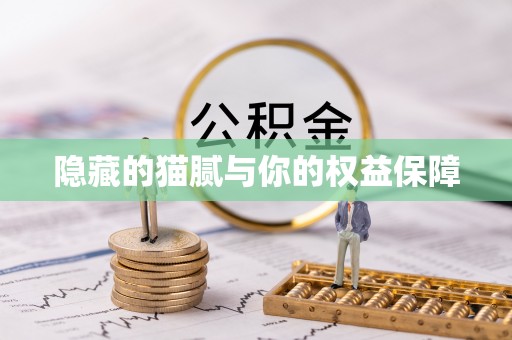 盐湖隐藏的猫腻与你的权益保障