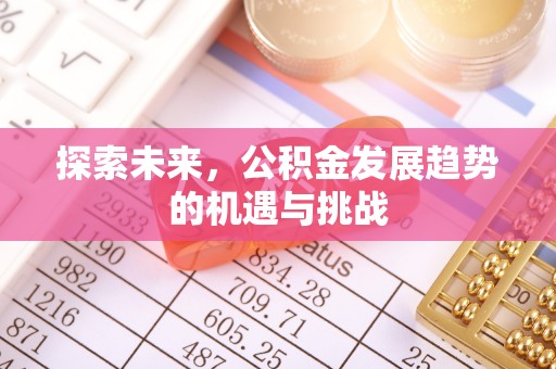 盐湖探索未来，公积金发展趋势的机遇与挑战
