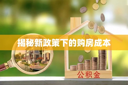 盐湖揭秘新政策下的购房成本