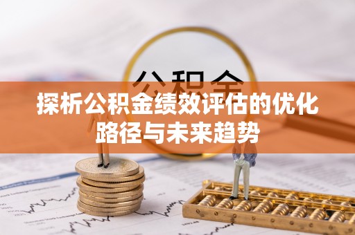 盐湖探析公积金绩效评估的优化路径与未来趋势