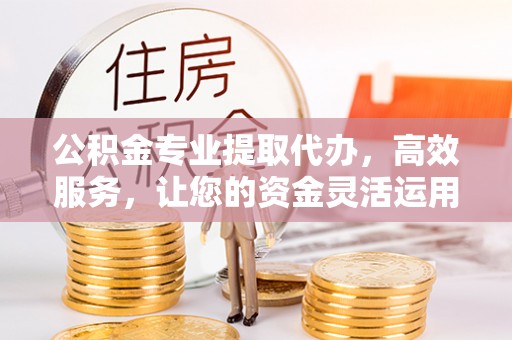 盐湖公积金专业提取代办，高效服务，让您的资金灵活运用
