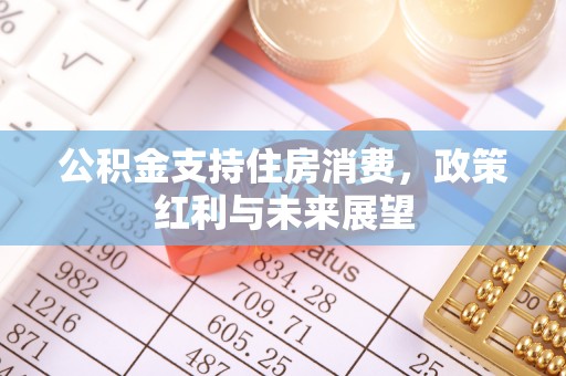 盐湖公积金支持住房消费，政策红利与未来展望