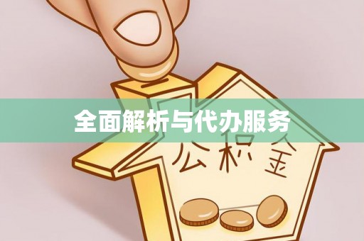 盐湖全面解析与代办服务