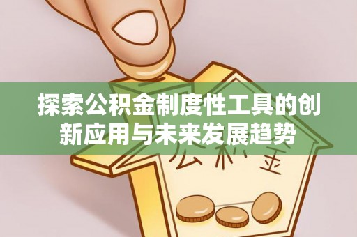 盐湖探索公积金制度性工具的创新应用与未来发展趋势