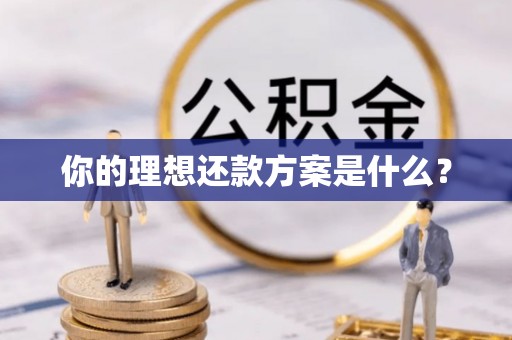 盐湖你的理想还款方案是什么？