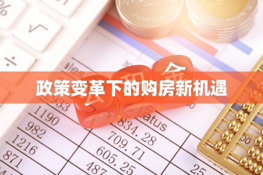 盐湖政策变革下的购房新机遇
