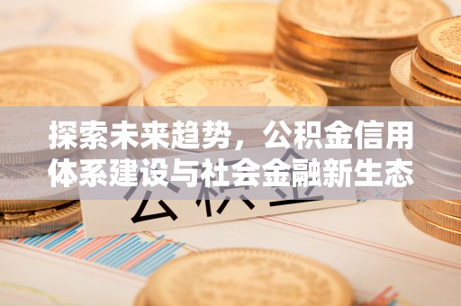 盐湖探索未来趋势，公积金信用体系建设与社会金融新生态